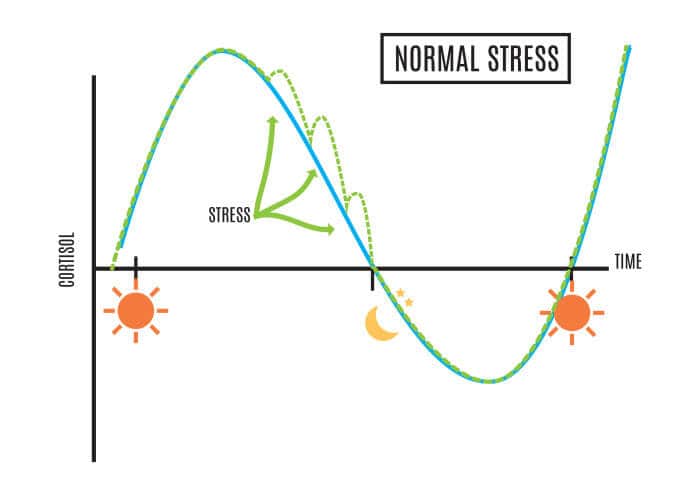 Normal Stress Cortisol Pattern